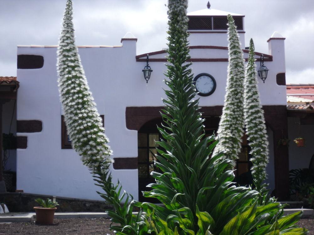 ホテルFinca El Picacho Valle de Guerra エクステリア 写真